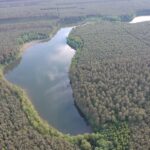 Łowisko karpiowe Jezioro Missisipi
