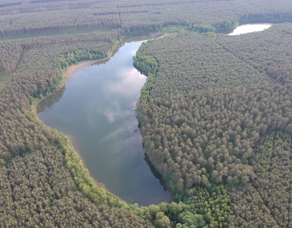 Łowisko karpiowe Jezioro Missisipi