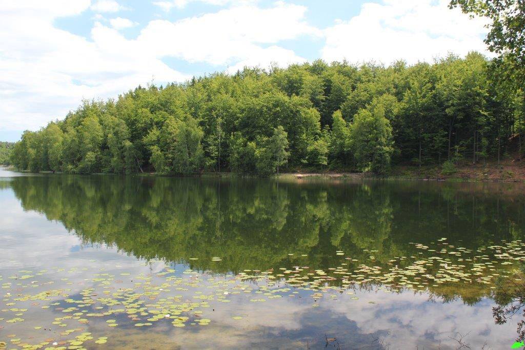 Jezioro Miloszewskie - Dzikie jezioro z karpiami