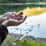 karpiarz trzyma w dłoniach kulki proteinowe