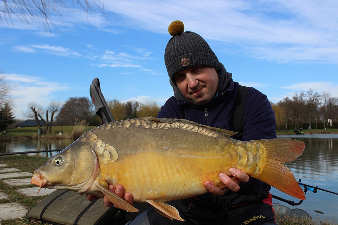 Zimowe łowienie karpi na method feeder