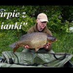 Jak łowić karpie w gliniance