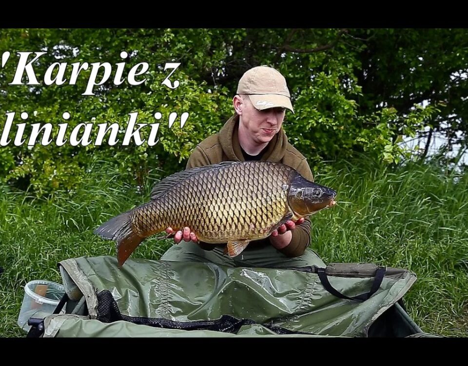 Jak łowić karpie w gliniance