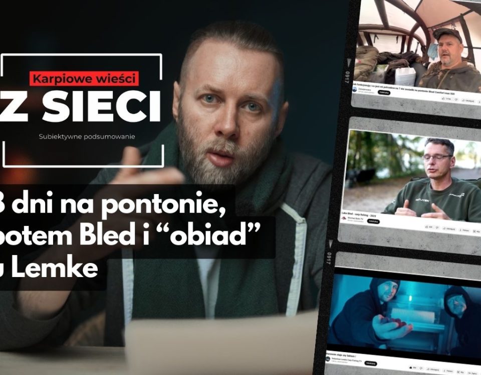 Karpiowe wieści z sieci