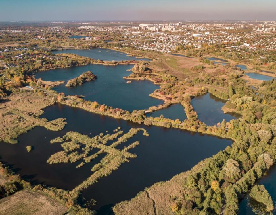 Łowisko karpiowe Szachty w Poznaniu