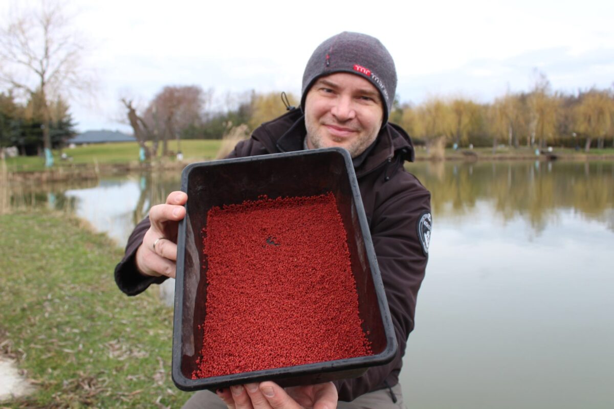 Zimowe łowienie karpi na method feeder