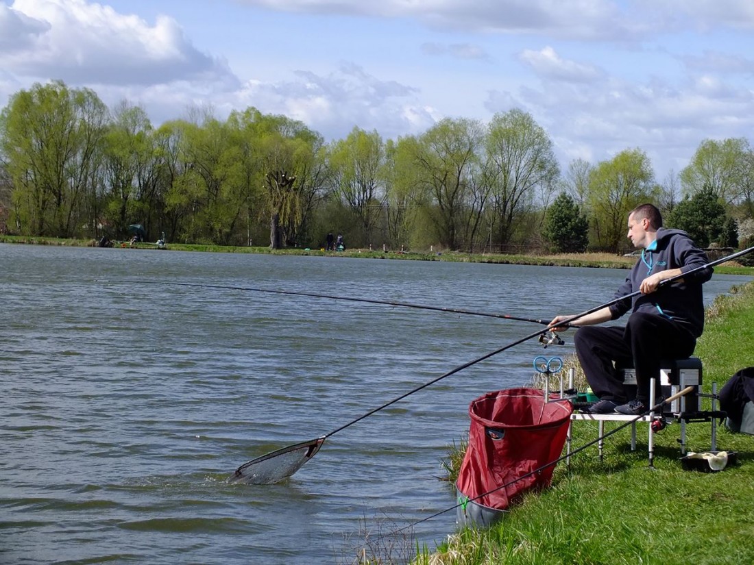 Jak łowić karpie na method feeder