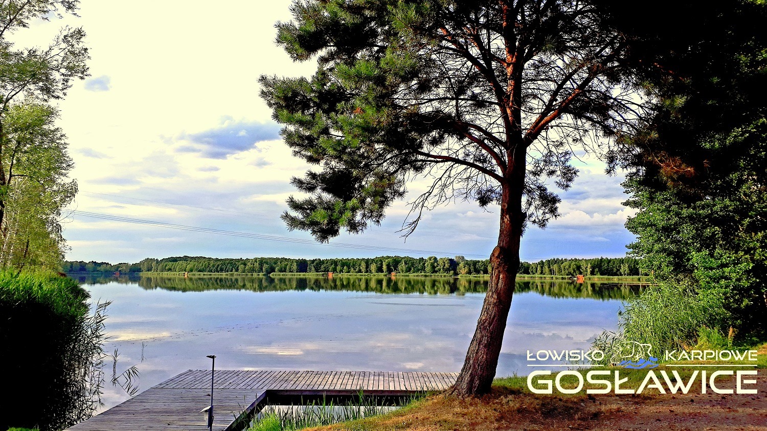 Łowisko karpiowe Gosławice