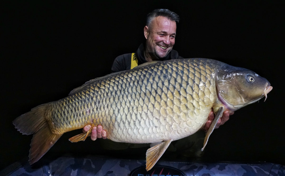 Karp z rzeki Odra
