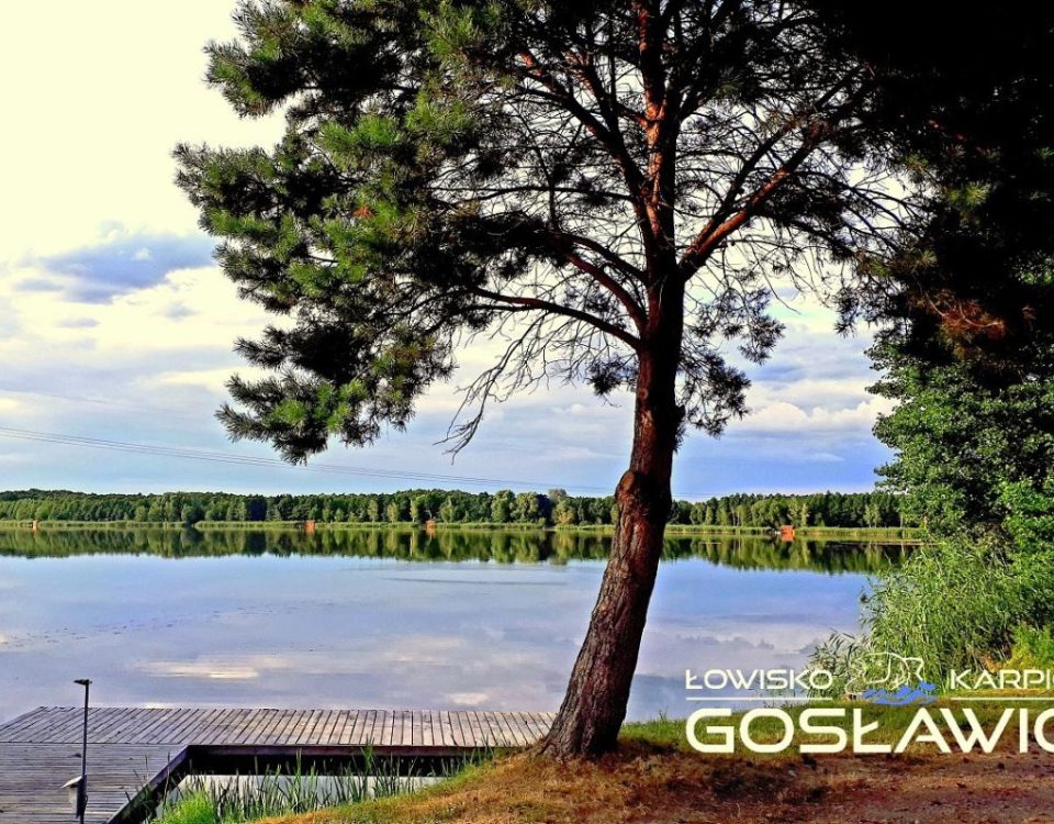 Łowisko karpiowe Gosławice