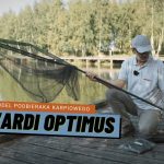 Dwuczęściowy podbierak karpiowy Mivardi Optimus