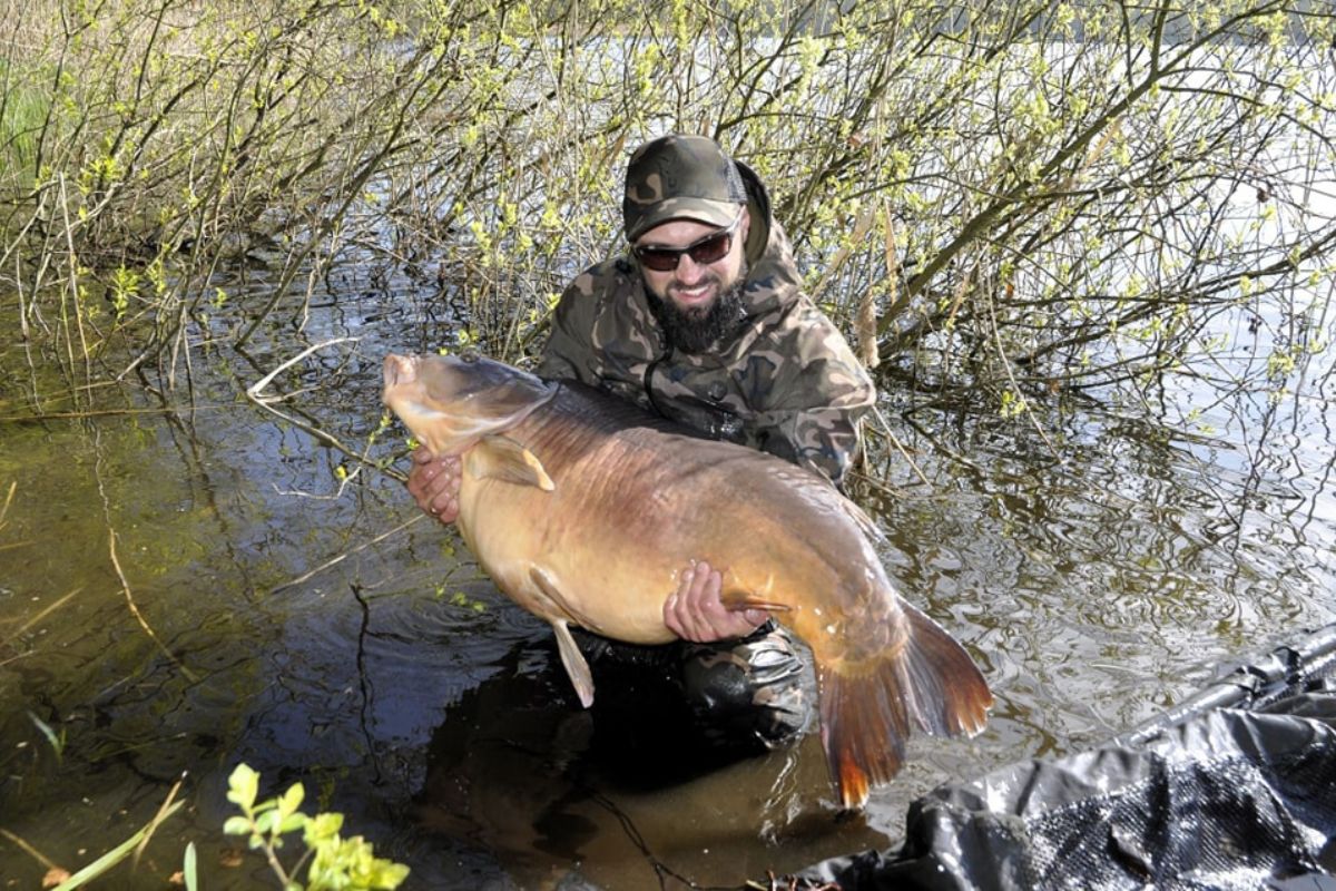 Jezioro Miłoszewskie - rekord karp 35 kg