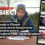 Karpiowe wieści z sieci