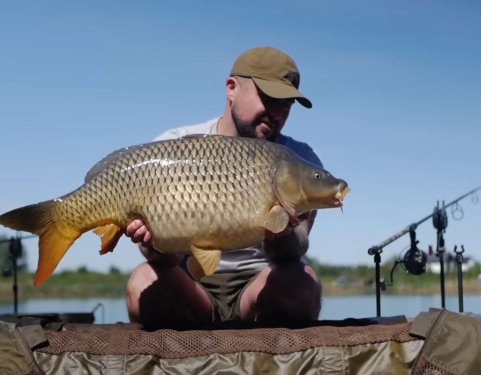 łowisko karpiowe extra carp radymno