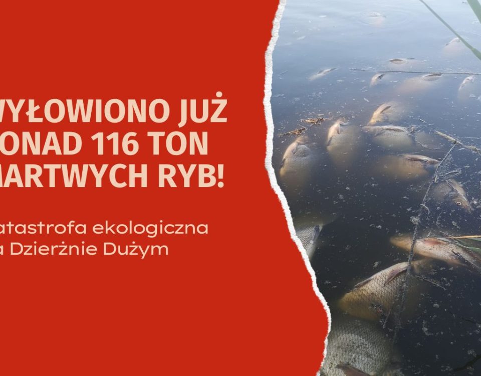 Dzierżno Duże katastrofa ekologiczna