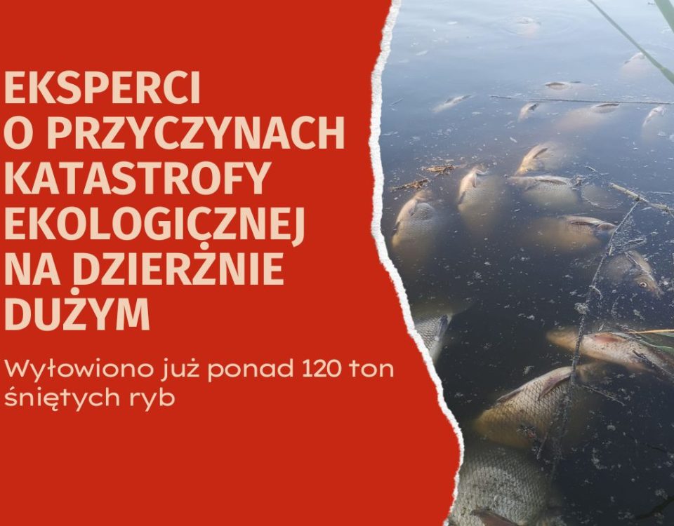 Dzierżno Duże przyczyny śnięcia ryb