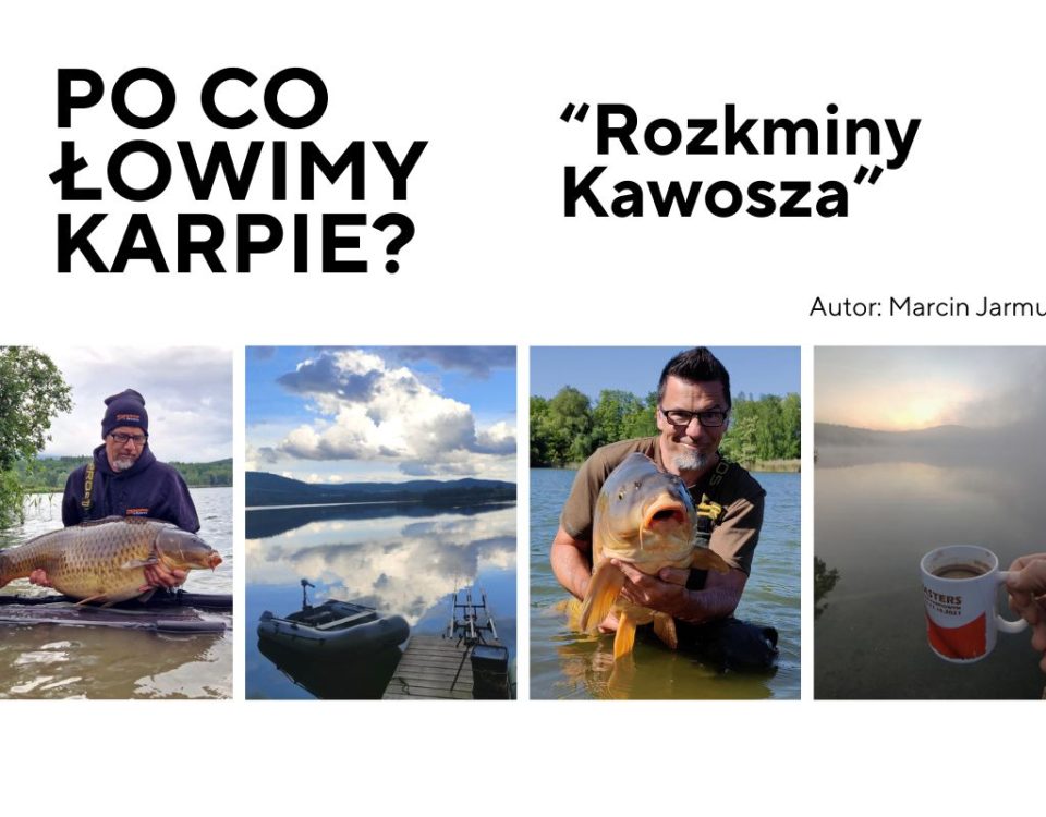 Po co łowimy karpie
