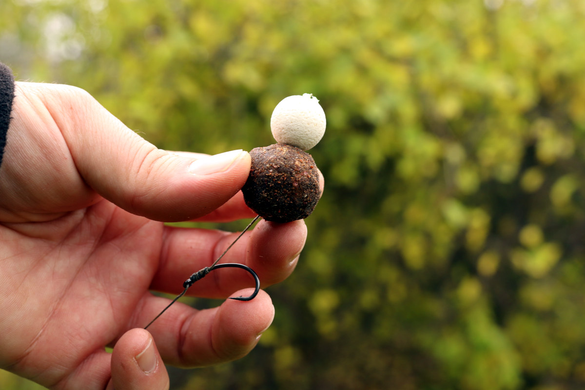 Karpie jesienią - przynęta