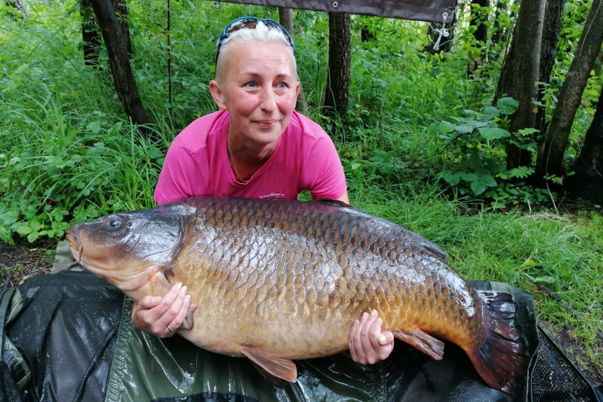 karp pełnołuski