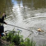 Method Feeder