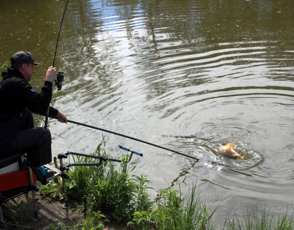 Method Feeder
