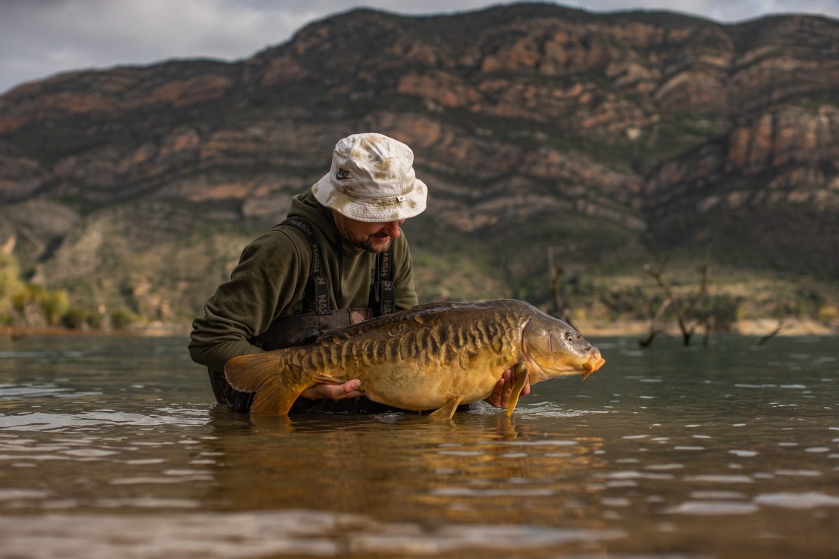 Oli Davies