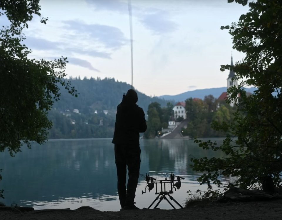 Karpiowanie w jeziorze Bled