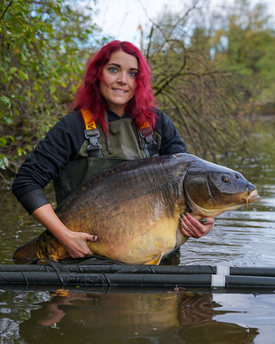 wielki karp