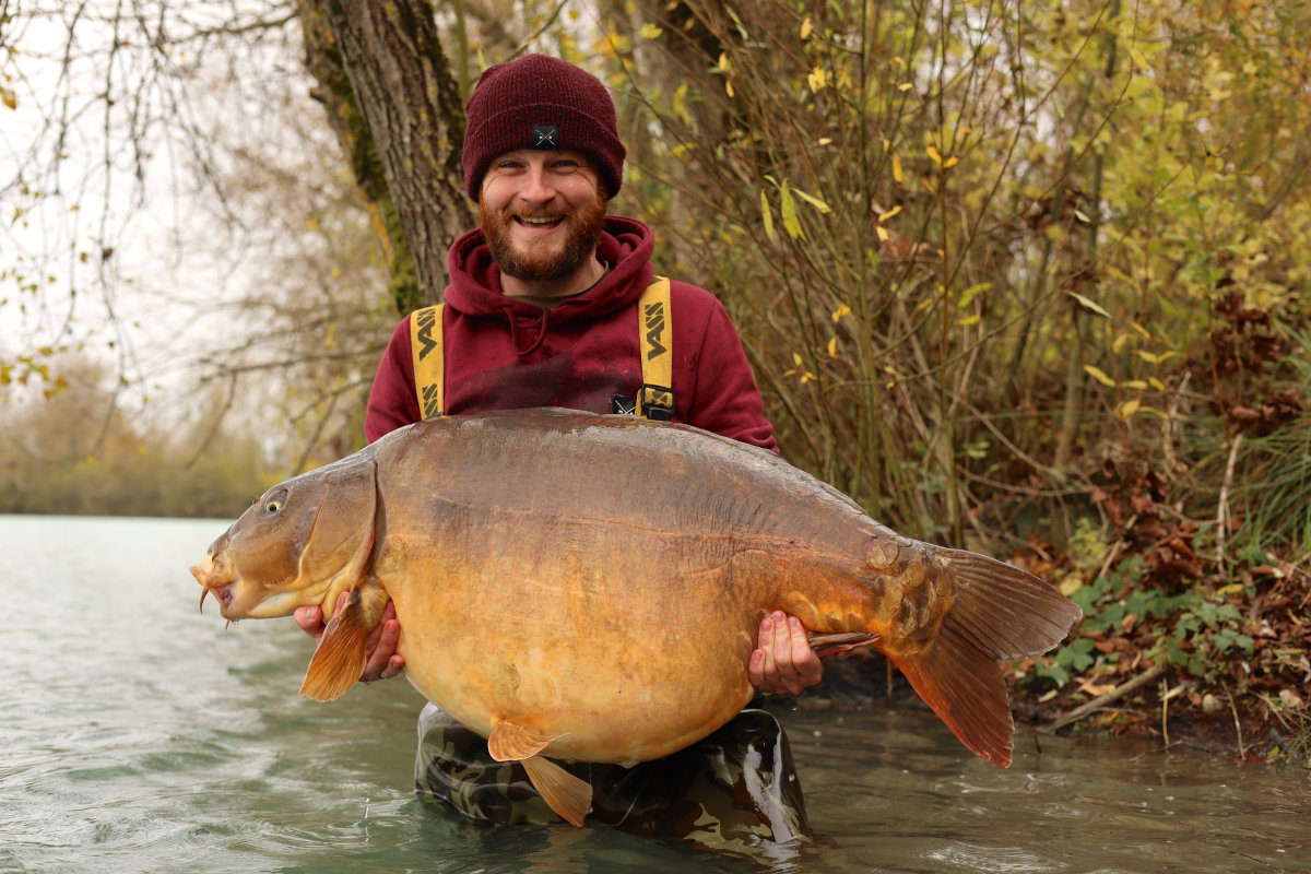 wielki karp
