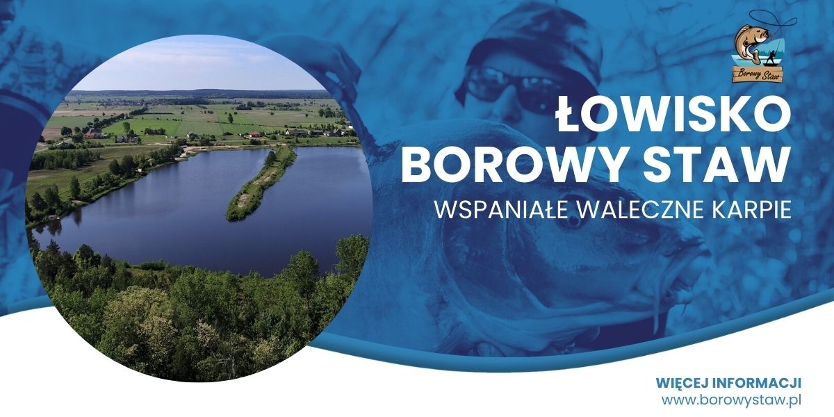 łowisko karpiowe gdzie są duże karpie to Borowy Staw