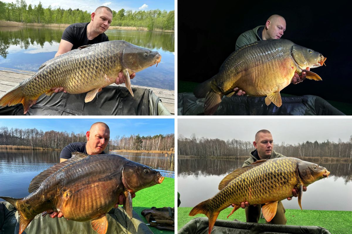 Marcin Roziński szef Great Baits