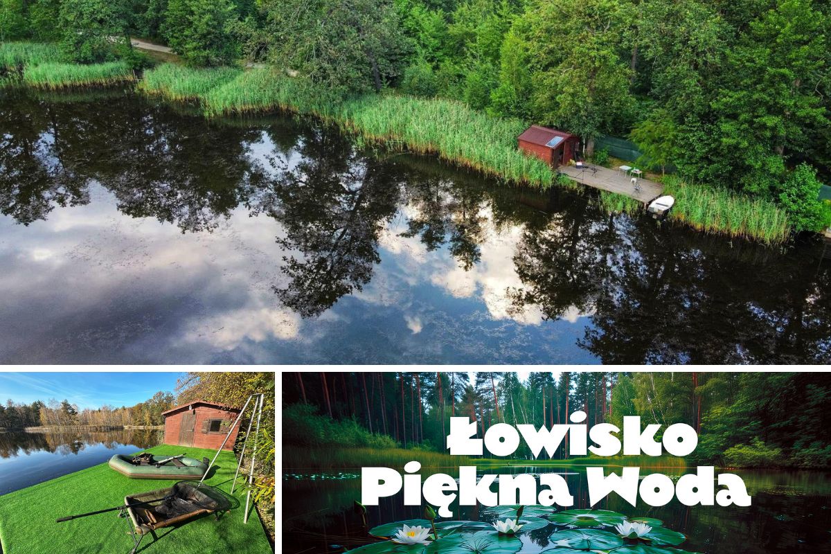 łowisko karpiowe piękna woda