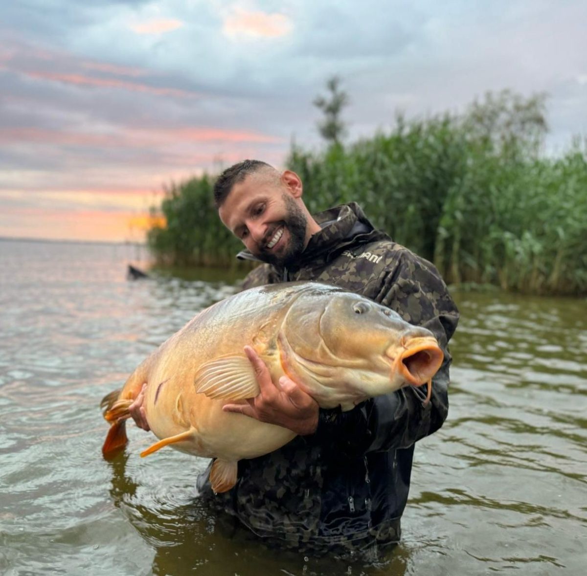 Wielki karp z zaporówki