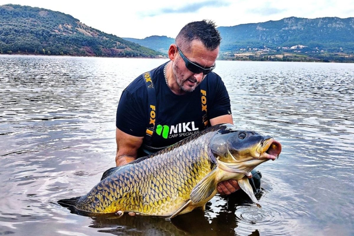 Karpie w Lac du Salagou