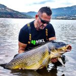 Karpie w Lac du Salagou