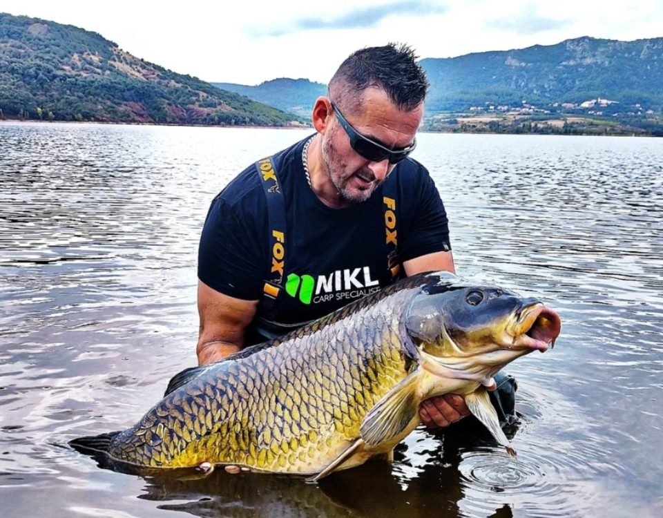 Karpie w Lac du Salagou