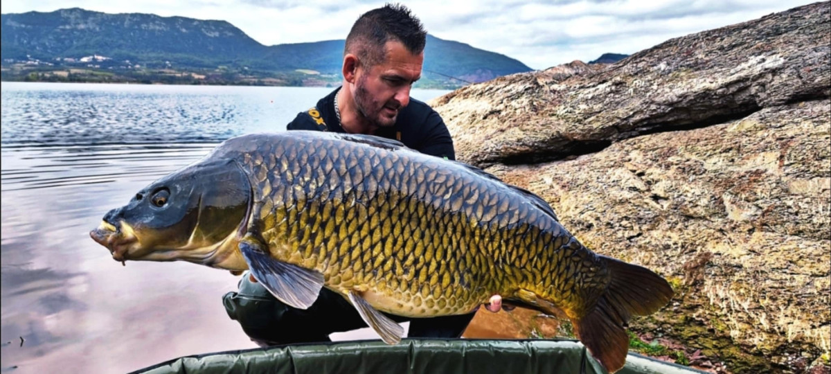 Karpie w Lac du Salagou