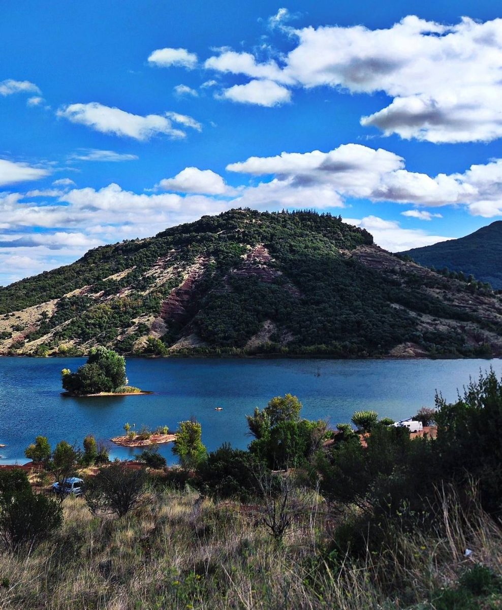 Karpie w Lac du Salagou