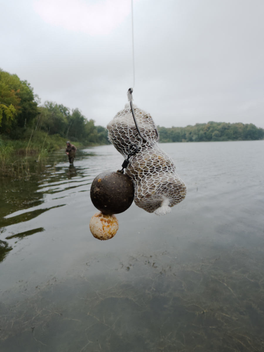 World Carp Classic - przynęta na karpie