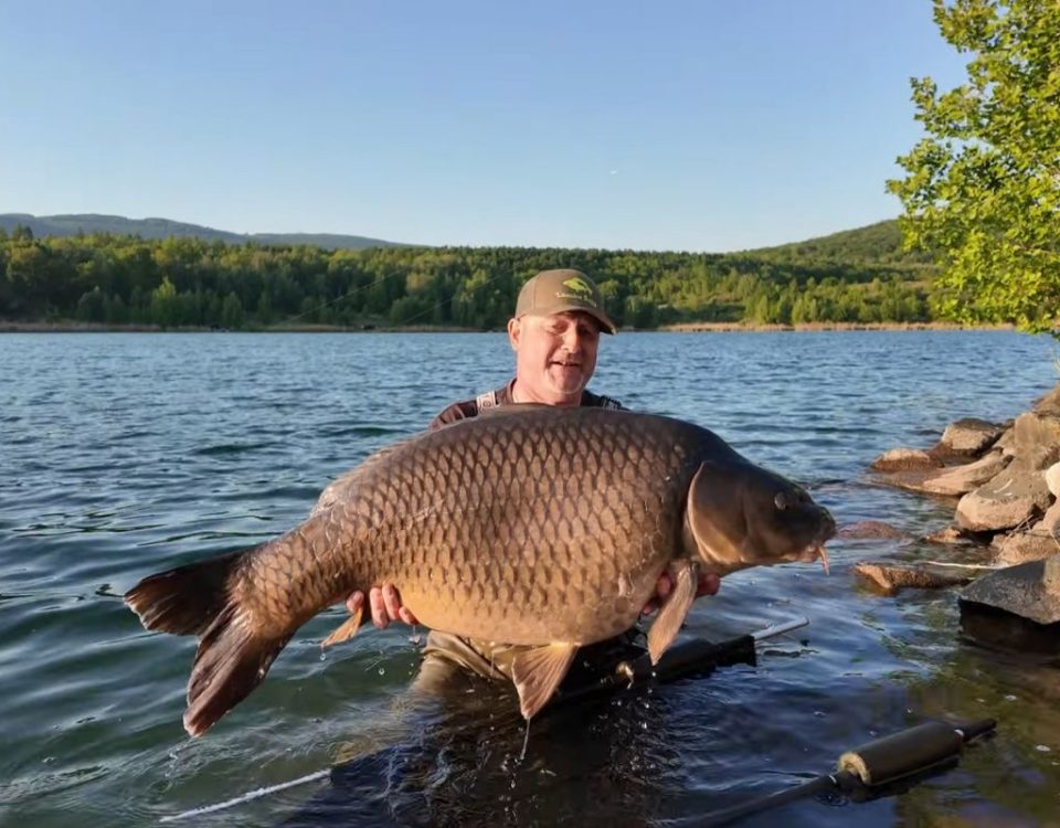 Karp 30 kg