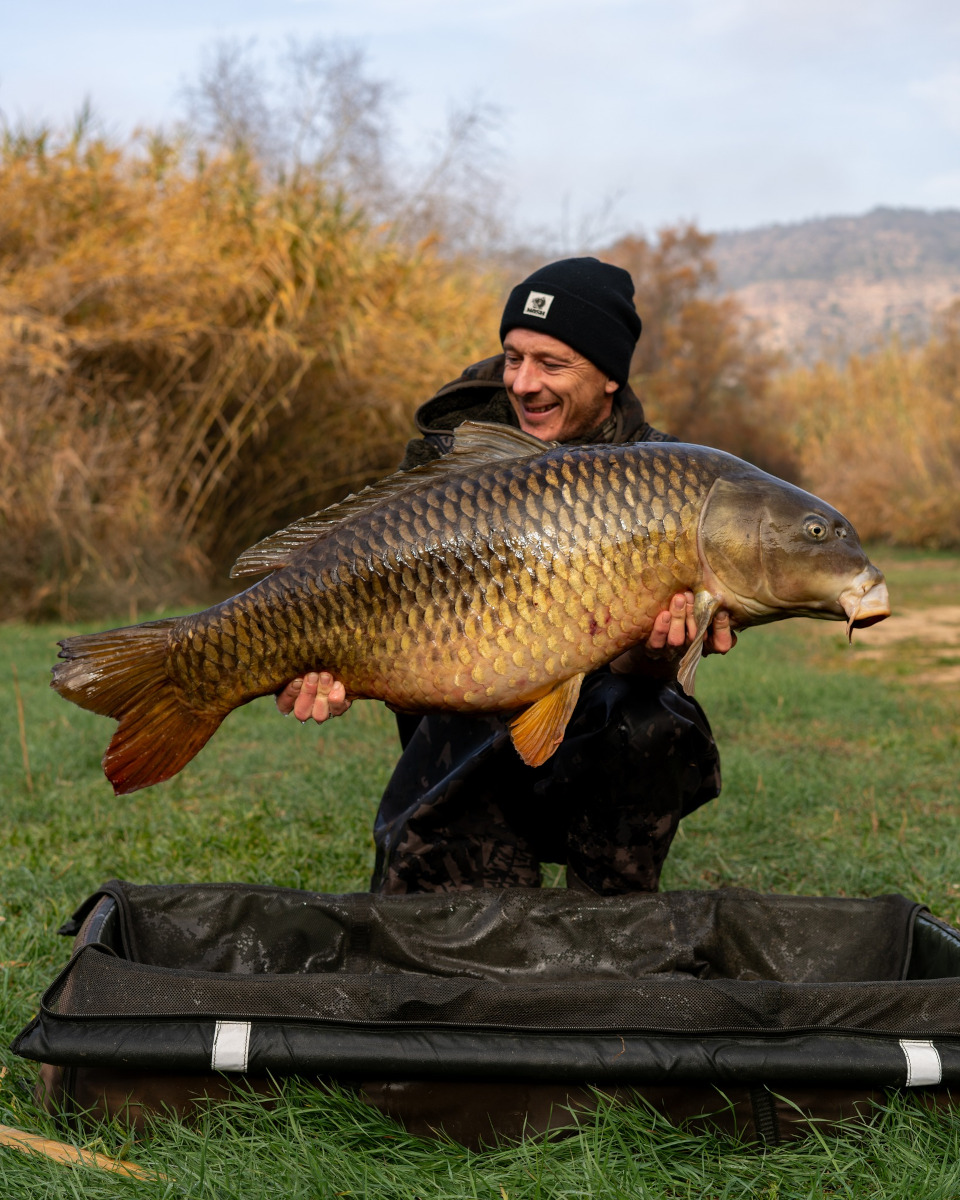 Dookoła świata - karp z rzeki Ebro