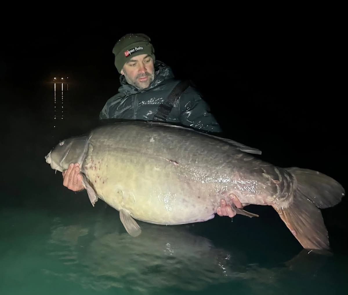wielki karp z Francji