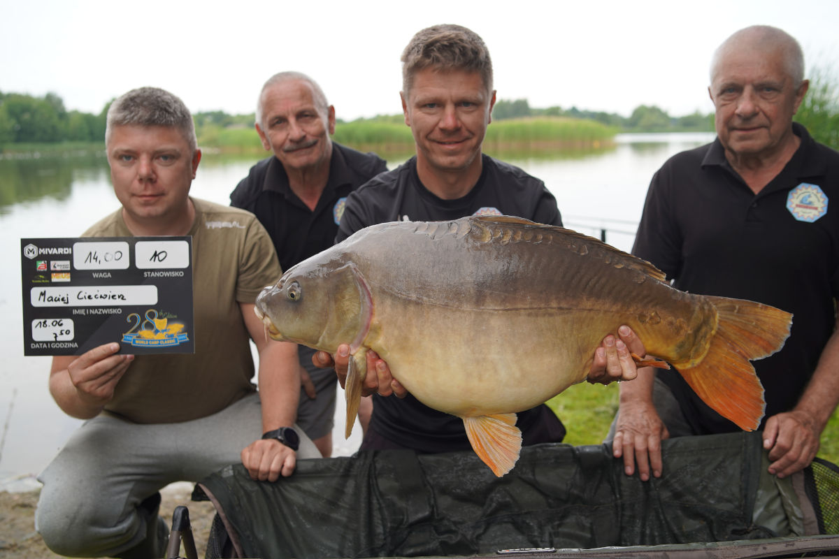 polskie eliminacje do world carp classic