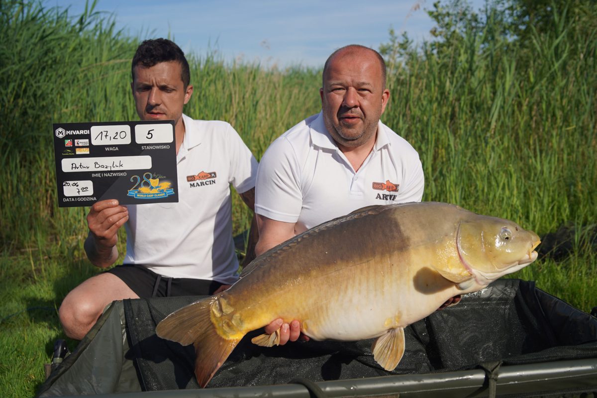 polskie eliminacje do world cara classic