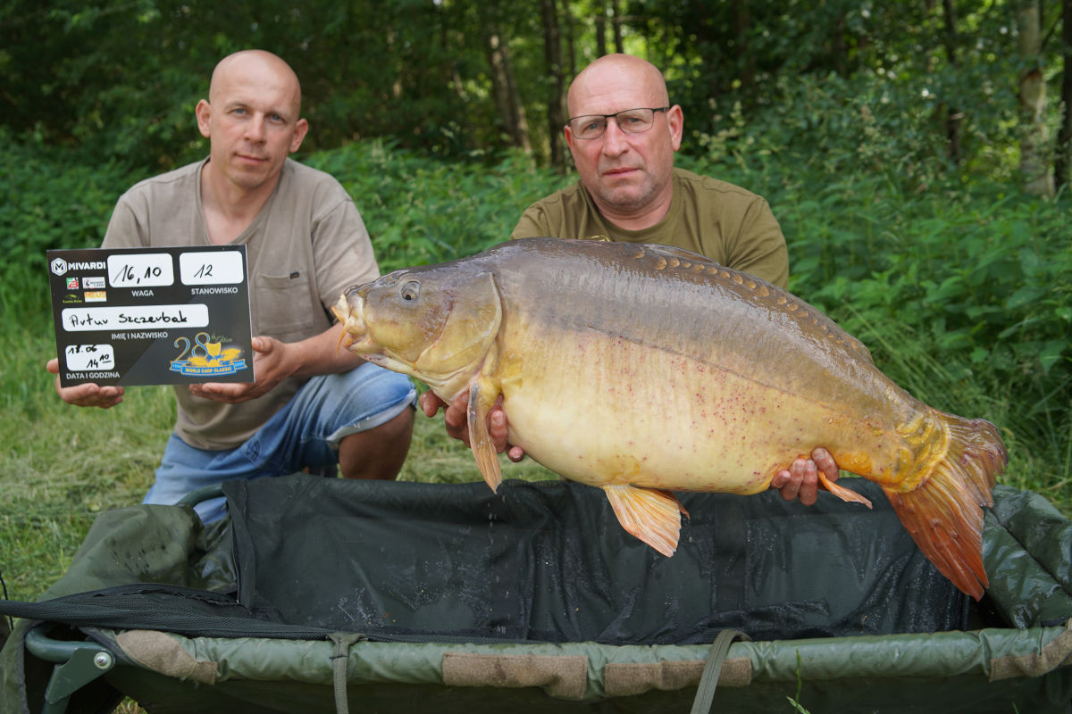 polskie eliminacje do world carp classic