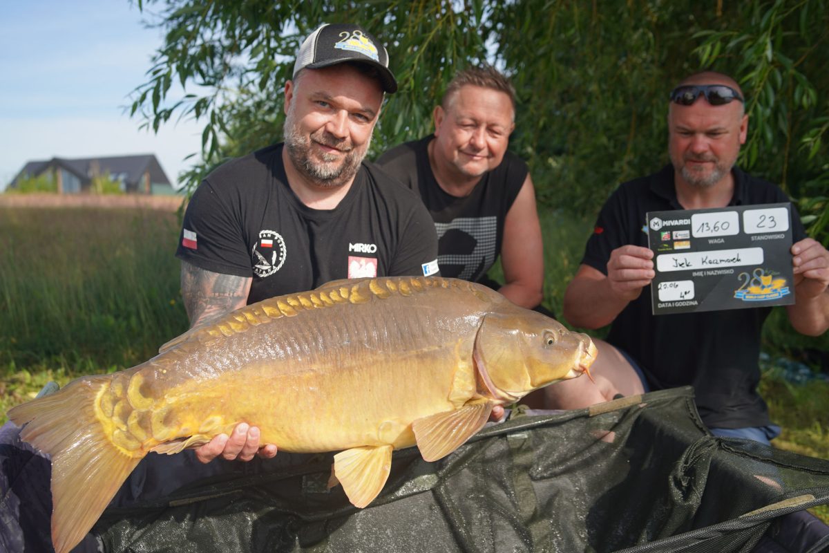 polskie eliminacje do world cara classic