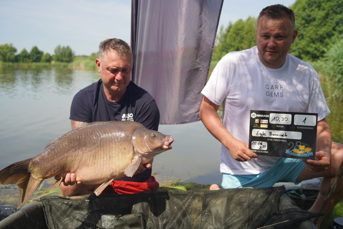 polskie eliminacje do world cara classic