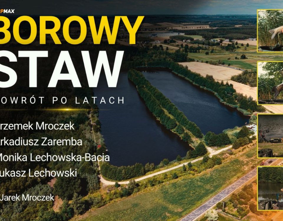 łowisko borowy staw