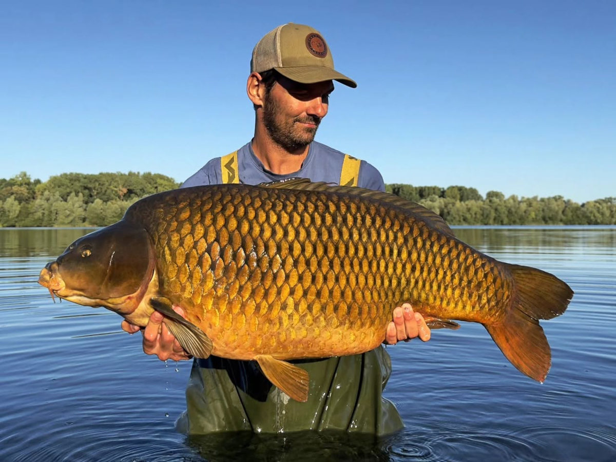 Bert van Der Trappen z karpiem pełnołuskim o wadze 24 kg złowionym w Belgii