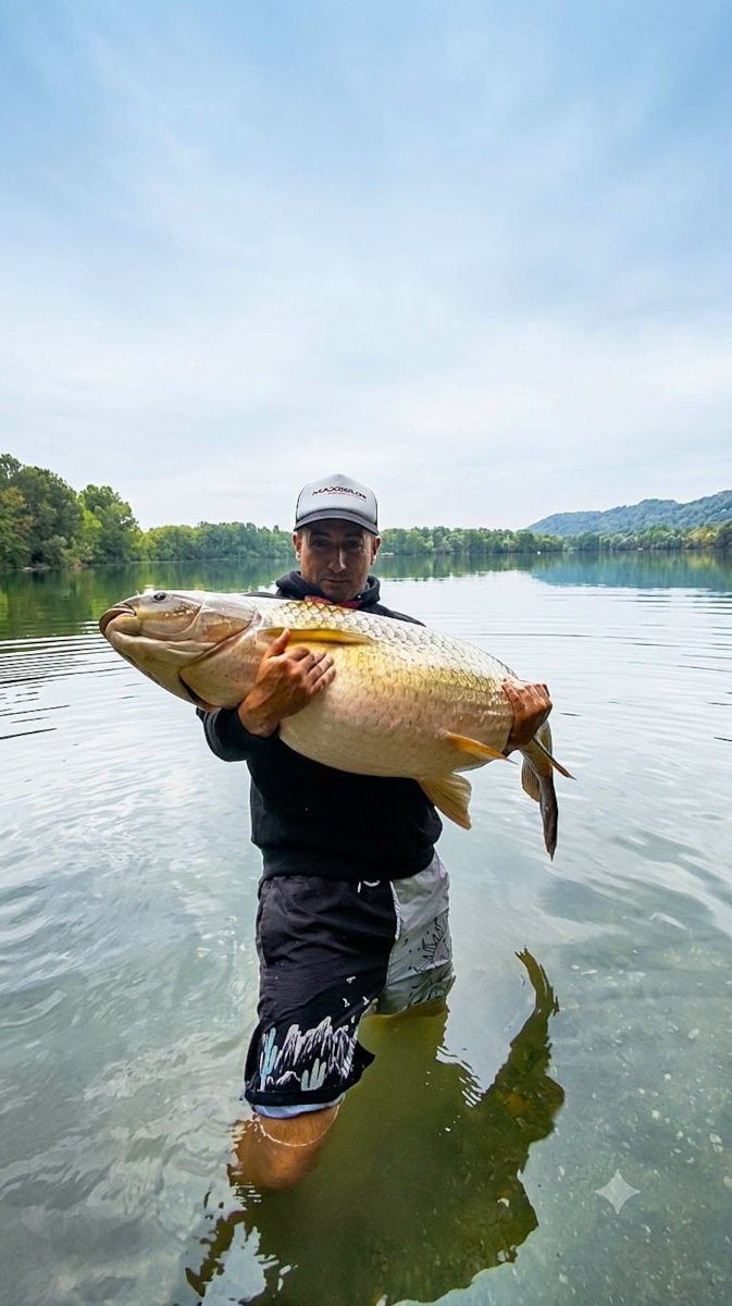 Amur 31 kg z łowiska Iktus we Francji